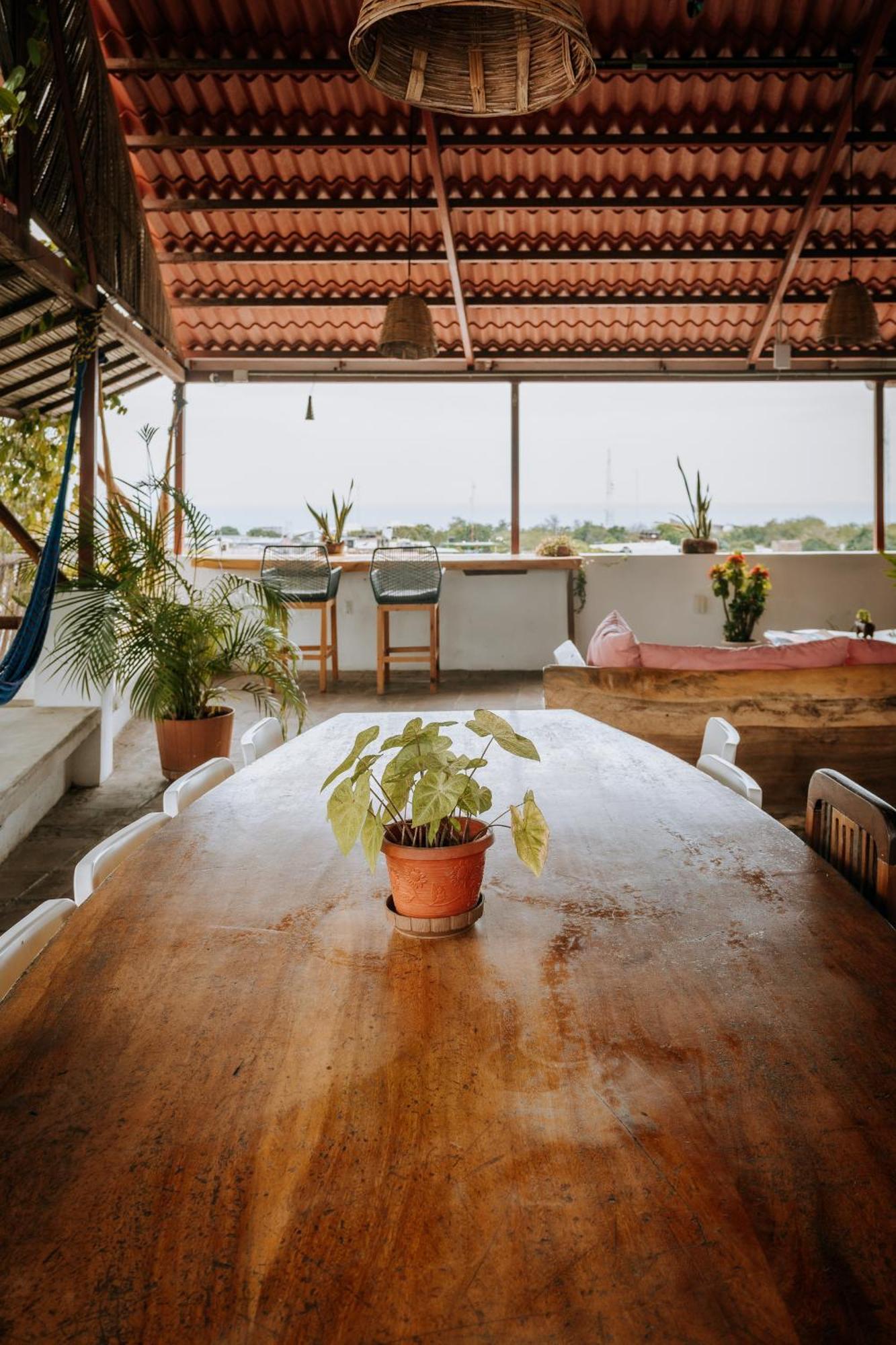 Terraza Puerto Hostel بويرتو إسكونديدو المظهر الخارجي الصورة