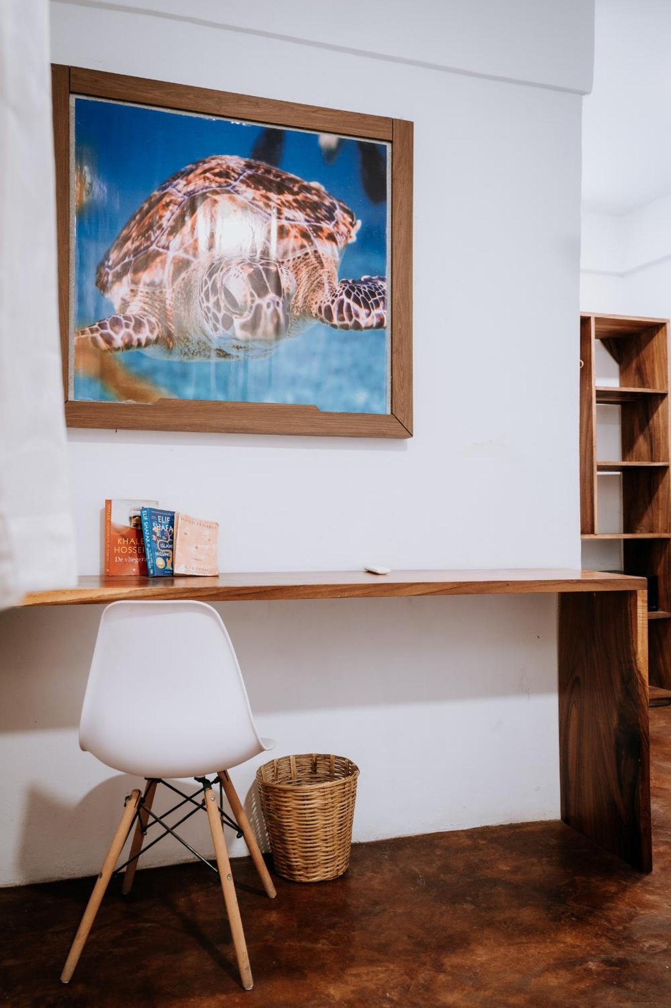Terraza Puerto Hostel بويرتو إسكونديدو المظهر الخارجي الصورة