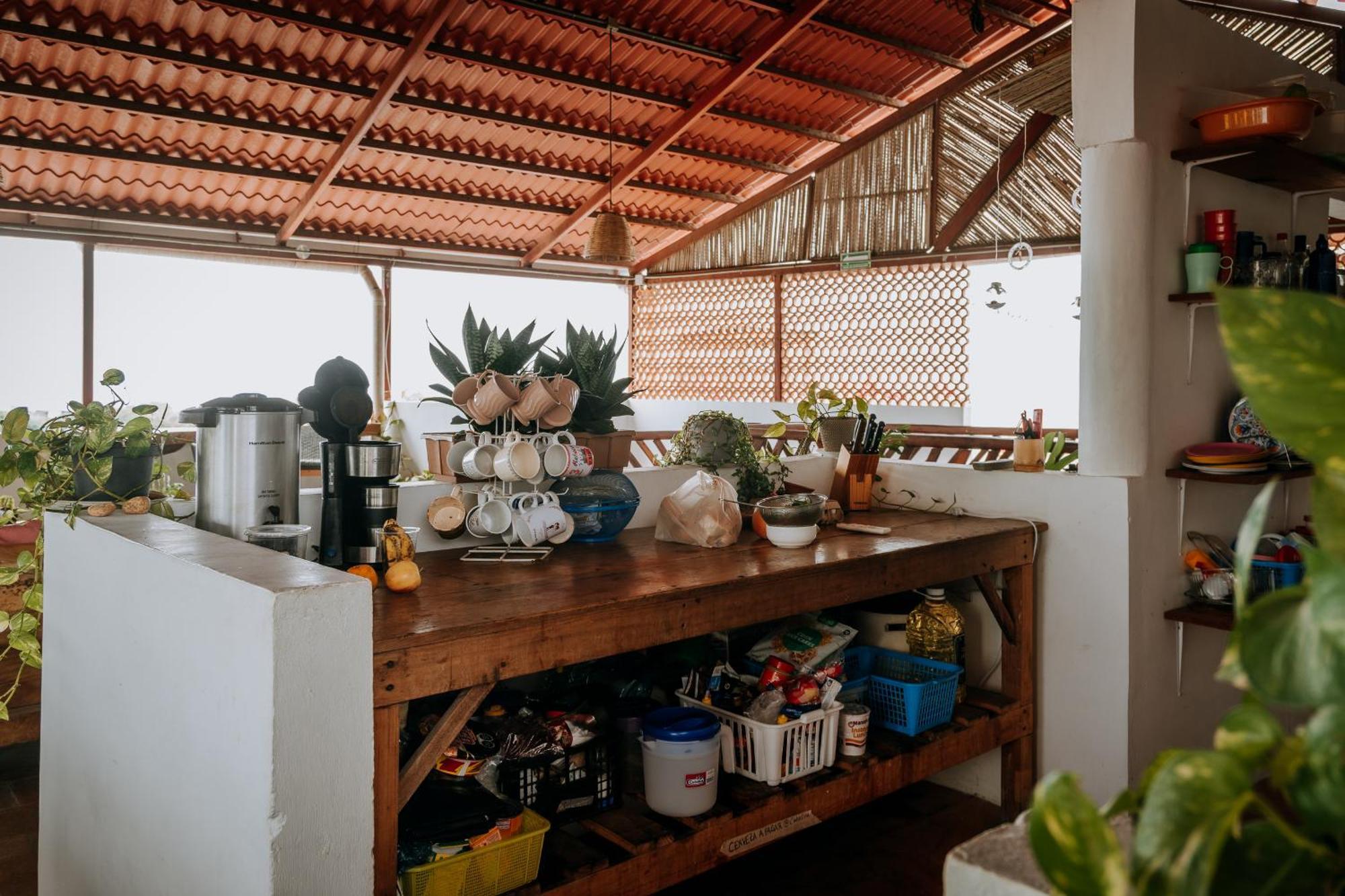 Terraza Puerto Hostel بويرتو إسكونديدو المظهر الخارجي الصورة