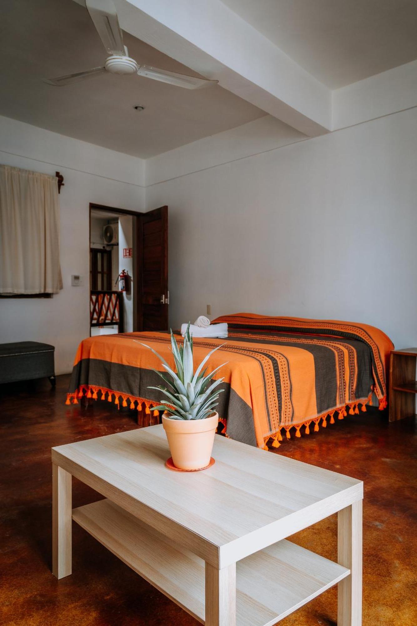 Terraza Puerto Hostel بويرتو إسكونديدو المظهر الخارجي الصورة